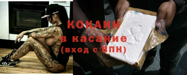 дживик Гусь-Хрустальный