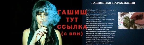 прущий лед Гусев