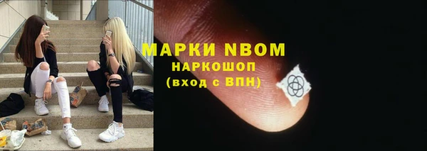 дживик Гусь-Хрустальный