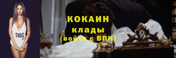 прущий лед Гусев