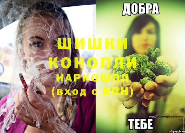 прущий лед Гусев