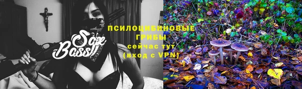 прущий лед Гусев