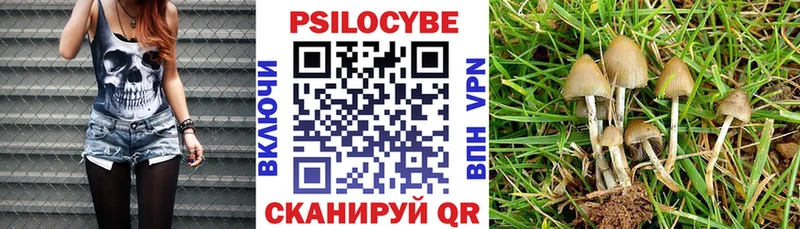Псилоцибиновые грибы Cubensis  где купить наркоту  Набережные Челны 